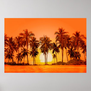 Affiche Palm trees at sunset background. Sri Lanka.