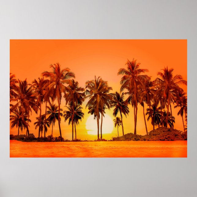 Affiche Palm trees at sunset background. Sri Lanka. (Devant)