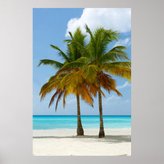 Affiche Palm Trees Plage Mer Bleue Ciel Jour ensoleillé