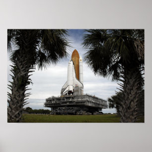 Affiche Palmetto arbres cadre navette spatiale Endeavour