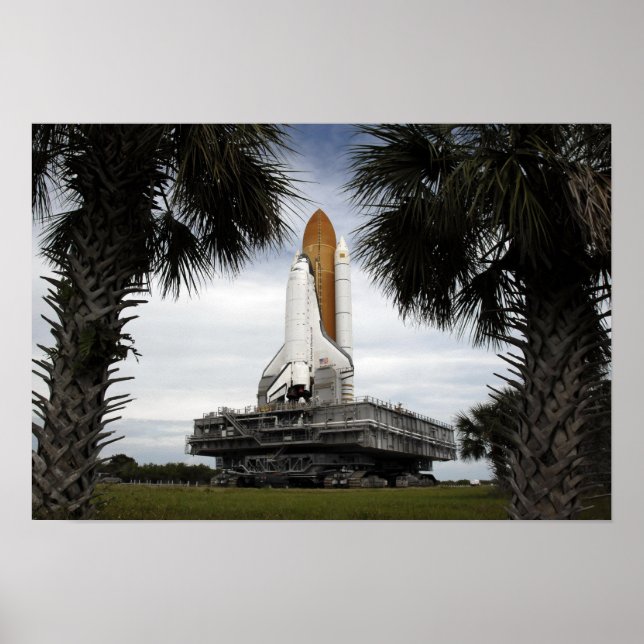 Affiche Palmetto arbres cadre navette spatiale Endeavour (Devant)