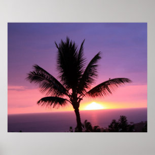 Affiche Palmier hawaïen et coucher de soleil coloré