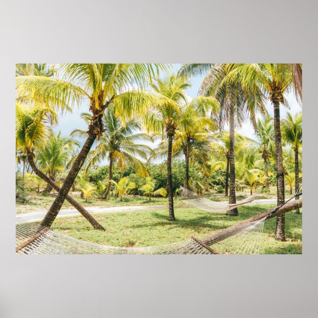 Affiche Palmier le matin (Devant)