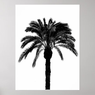 Affiche palmier tropical noir et blanc