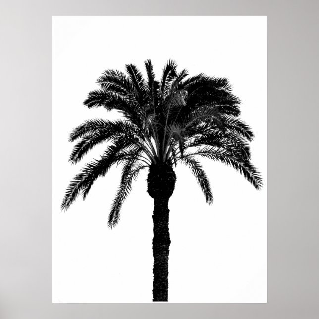 Affiche palmier tropical noir et blanc (Devant)