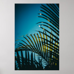 Affiche Palmier vert plante sous ciel bleu le matin