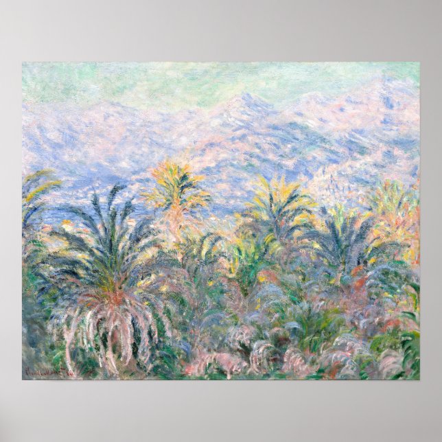 Affiche Palmiers à Bordighera (1884) par Claude Monet (Devant)