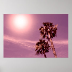 Affiche Palmiers au soleil