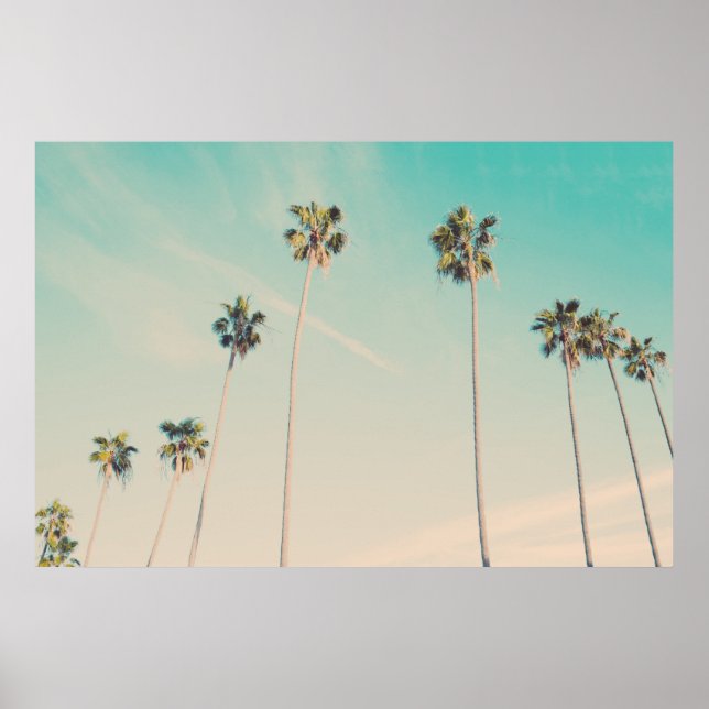 Affiche Palmiers au vent Photo (Devant)
