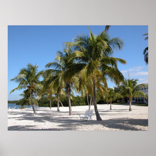 Affiche Palmiers et plage Imprimé (Devant)
