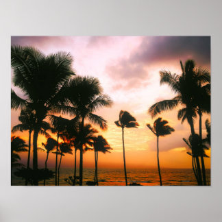 Affiche Palmiers Hawaiian Exotic Beach