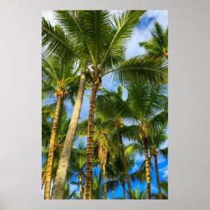 Affiche Palmiers Hawaiian Exotic Beach