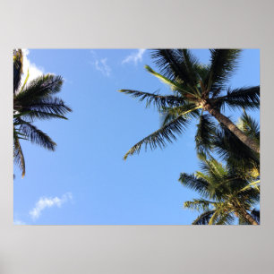Affiche Palmiers Hawaiian Exotic Beach