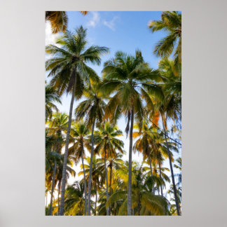 Affiche Palmiers Hawaiian Exotic Beach