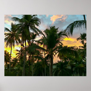 Affiche Palmiers Hawaiian Exotic Beach