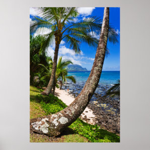 Affiche Palmiers le long de la plage de Hideaways