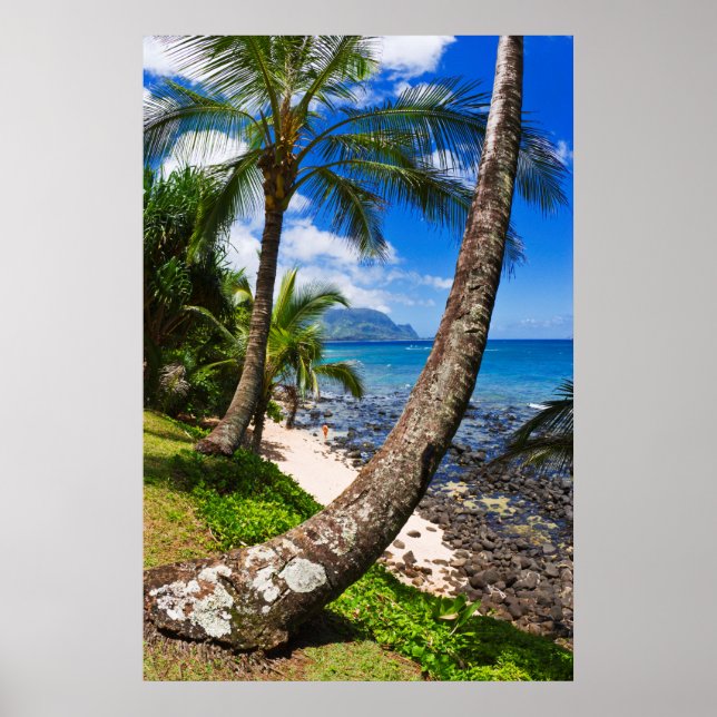 Affiche Palmiers le long de la plage de Hideaways (Devant)