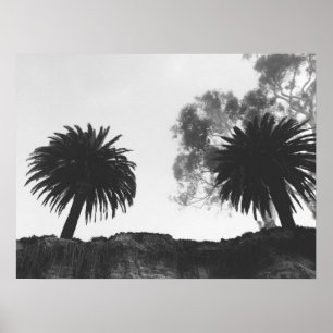 Affiche Palmiers noirs et blancs à flanc de falaise
