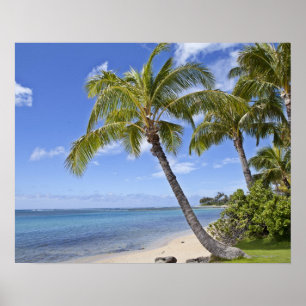 Affiche Palmiers sur la plage d'Hawaii.