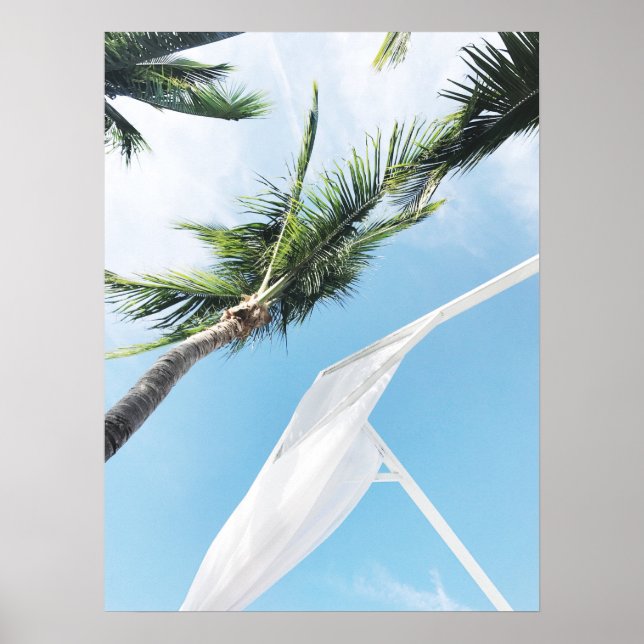 Affiche Palmiers tropicaux sous ciel bleu Photographie (Devant)