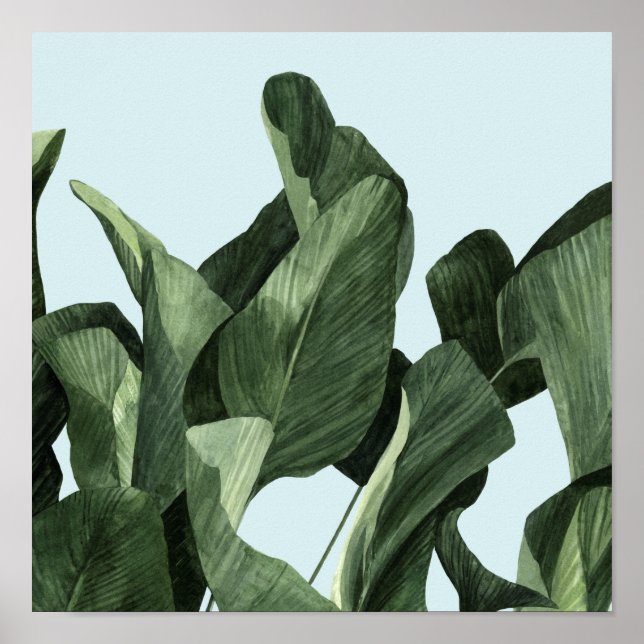 Affiche Palms Celadon (Devant)