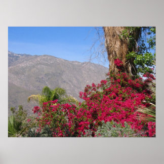 Affiche PalmSprings (4)