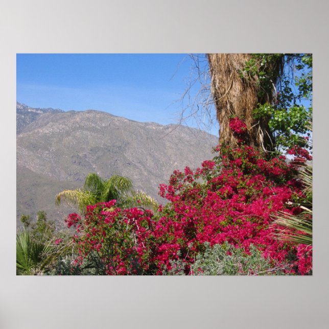 Affiche PalmSprings (4) (Devant)