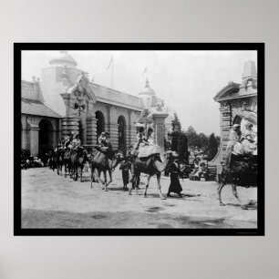 Affiche Pan Am Expo Camel Parade 1901