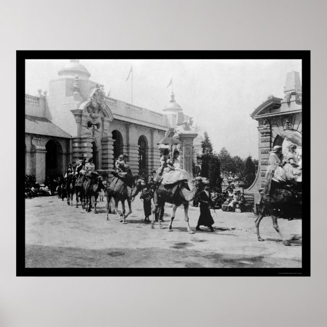 Affiche Pan Am Expo Camel Parade 1901 (Devant)