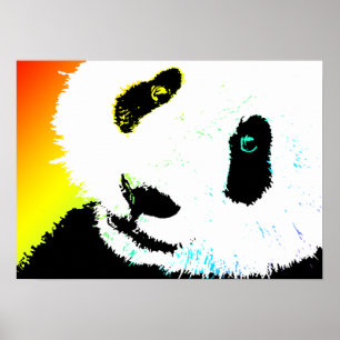 Affiche panda.
