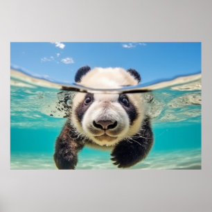 Affiche Panda Animal Amusement Nature Jouer Eau