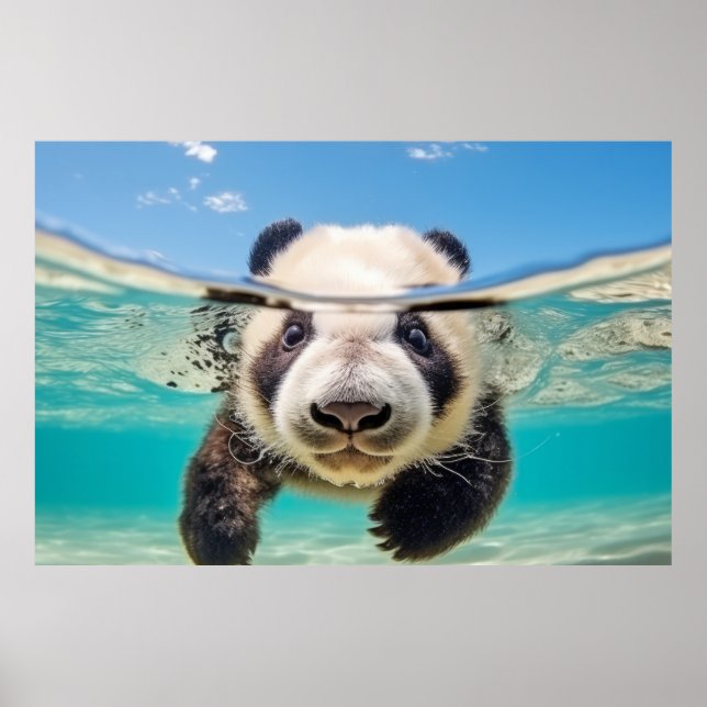 Affiche Panda Animal Amusement Nature Jouer Eau (Devant)