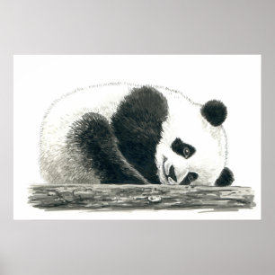 Affiche Panda bear