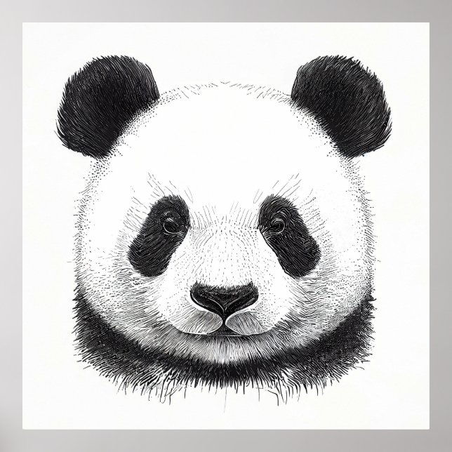Affiche Panda Bear Wild Nature Animal Illustration Art (Devant)