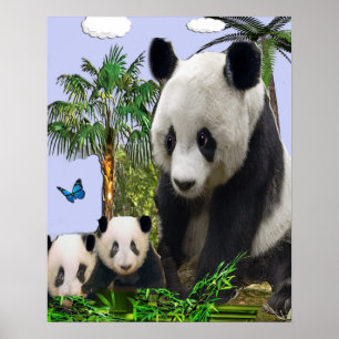 Affiche Panda Bears