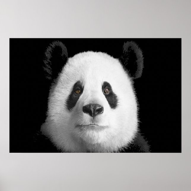 Affiche Panda géant (Devant)