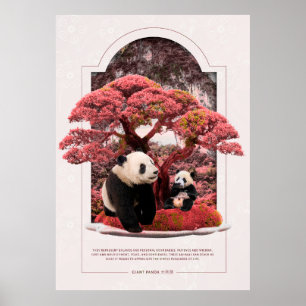 Affiche Panda géant