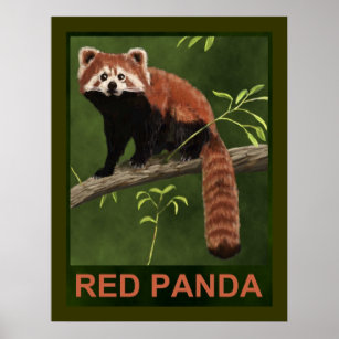 Affiche Panda rouge