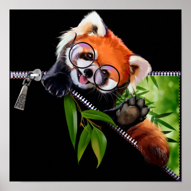 Affiche Panda rouge dans lunettes rondes et branche de bam (Devant)
