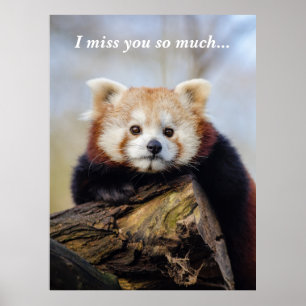 Affiche Panda Rouge Mignonne Vous Manque Tellement