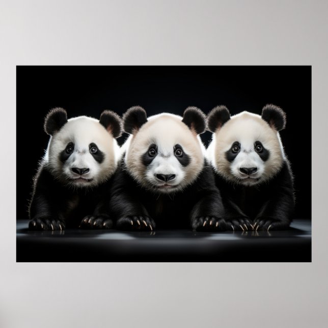 Affiche Panda Wild Animal Portrait Nature Beauté (Devant)