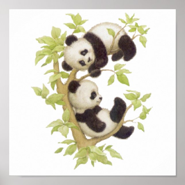 Affiche Pandas jouant dans un arbre (Devant)