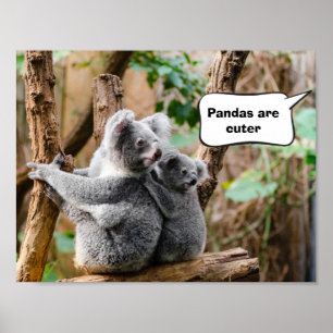 Affiche Pandas ou Koalas - Qui sont plus mignons ?