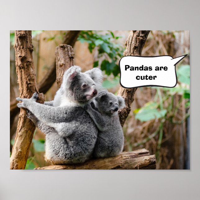 Affiche Pandas ou Koalas - Qui sont plus mignons ? (Devant)