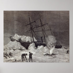 Affiche Pandora a pincé dans la glace