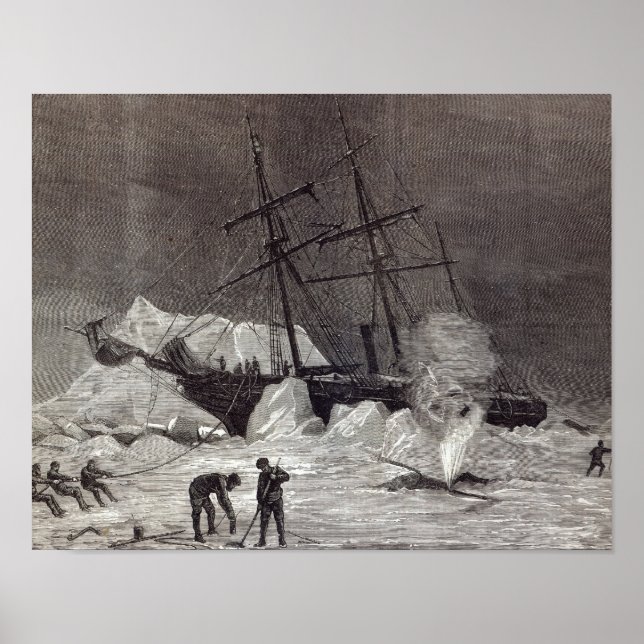 Affiche Pandora est trempée dans la glace (Devant)