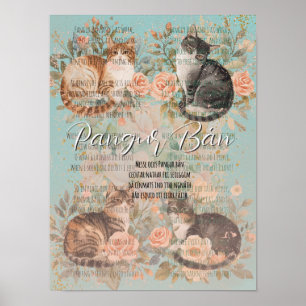 Affiche Pangur Bán Chat du jardin de cottage floral Rose v