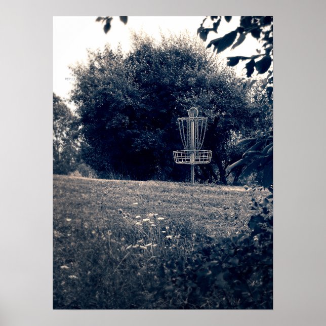 Affiche Panier de golf Frisbee Disk (Devant)