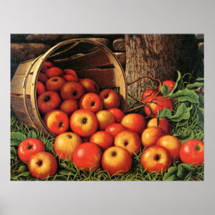 Affiche Panier de pommes, peinture d'art,