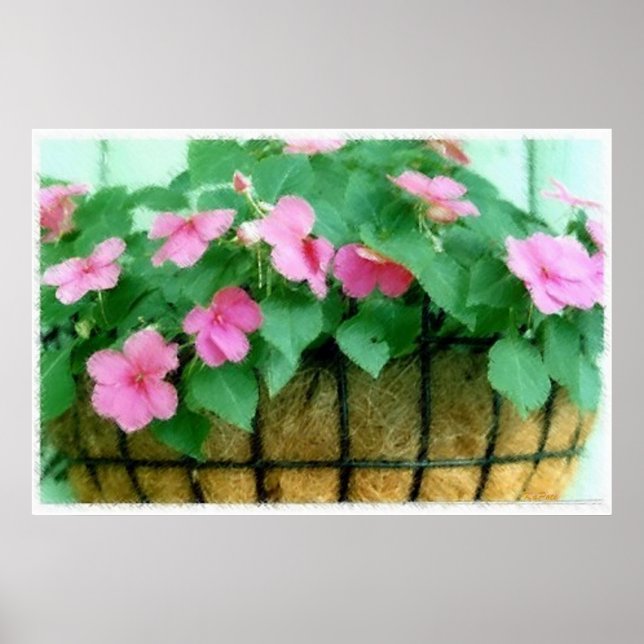 Affiche Panier d'Impatiens (Devant)